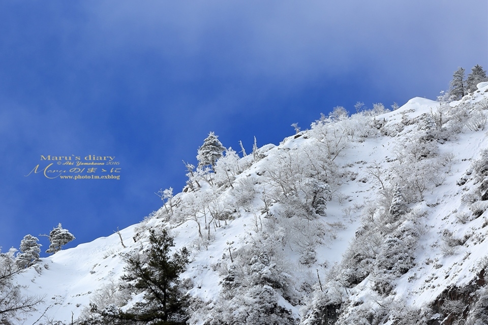 まゝに/12月の散策/Frosty morning/１_d0342426_23185528.jpg