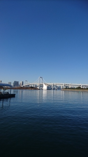 事件は会議室で起きてるんじゃない❗❔❔_f0331129_15533190.jpg