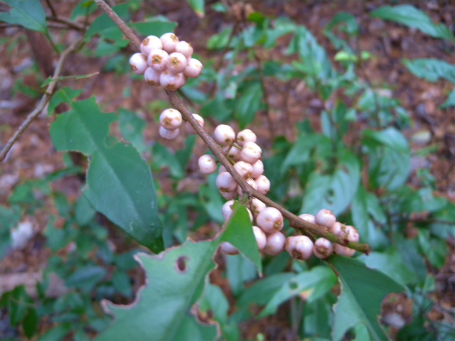 e0272335_18514160.jpg