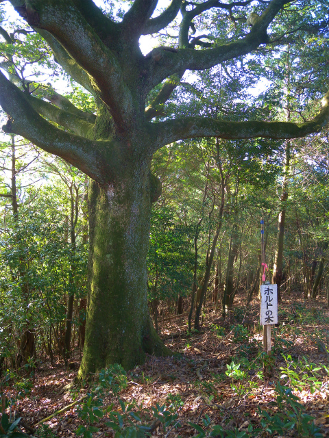 退院後、お初の3時間コース鎮南山！_e0272335_1945776.jpg