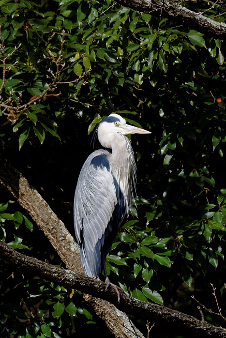 f0274536_07573.jpg
