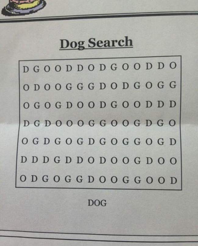 この中から「DOG」という文字を見つけて！_c0197940_22535543.jpg