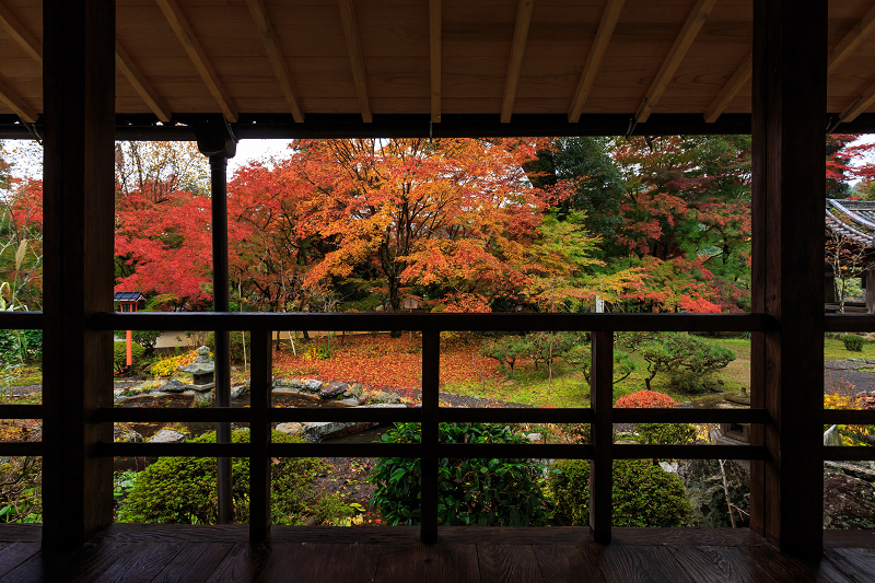 京都の紅葉2016 十輪寺の額縁紅葉（写真部門）_f0155048_20403697.jpg