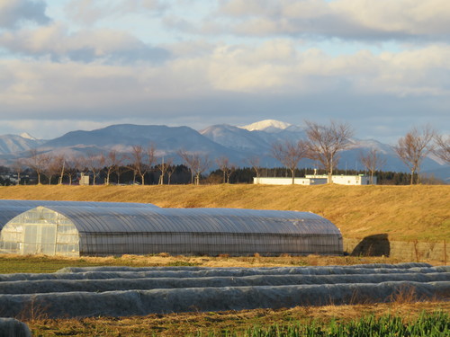 b0238249_211169.jpg
