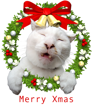 Merry Xmas_a0028451_13381664.png