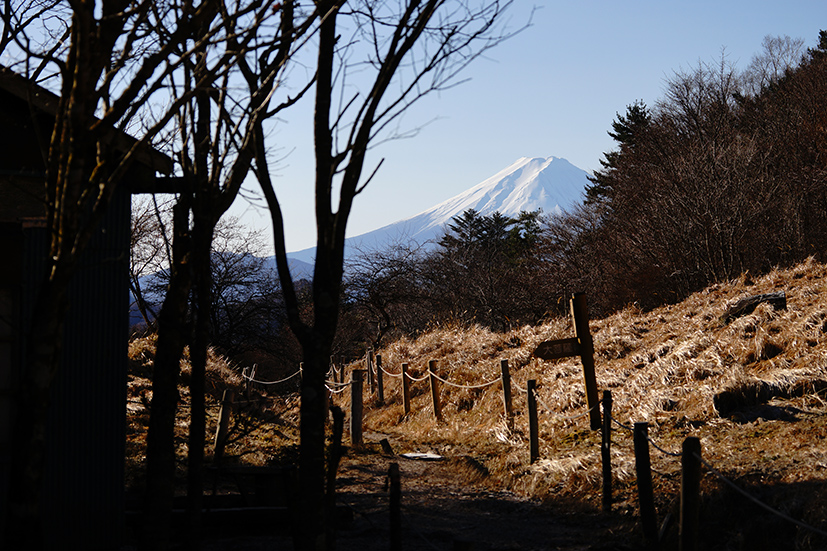 思わぬXmasプレゼント　大菩薩嶺_f0016656_1710461.jpg