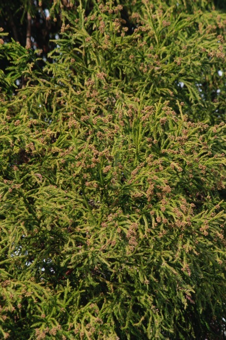 a0248459_15072442.jpg