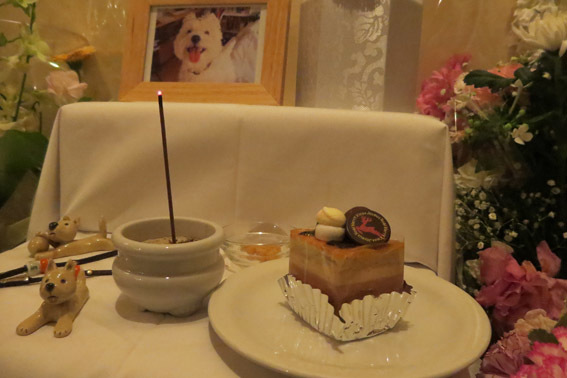 ケーキはどうだった?_b0107163_02343880.jpg