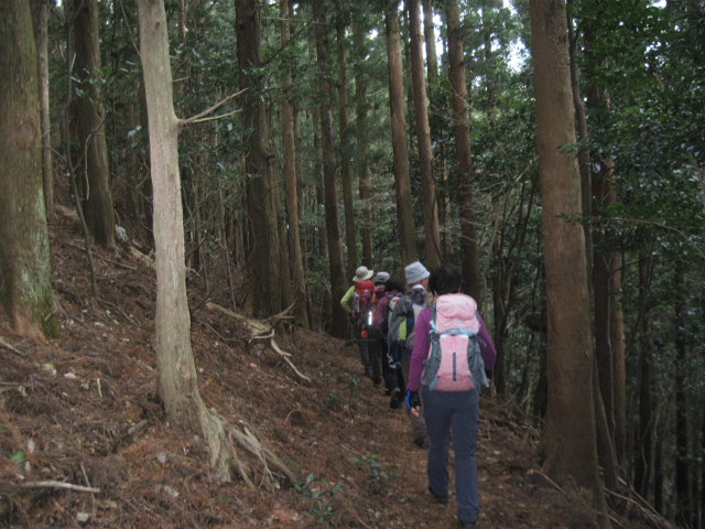 2016.12.24　太龍寺山618ｍ_c0219866_13332590.jpg