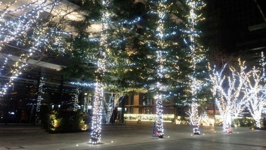 メリークリスマス☆_b0298969_08472268.jpg