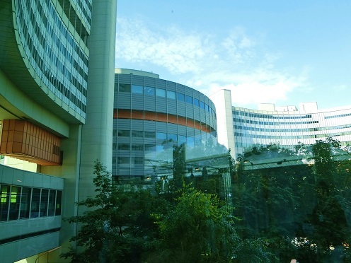 e0181876_19484674.jpg