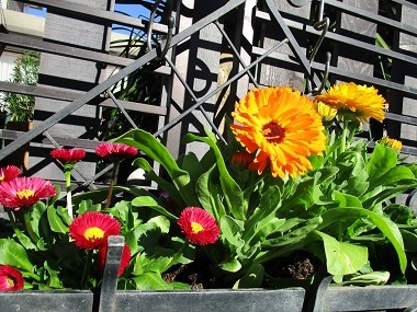 a0053480_07565915.jpg
