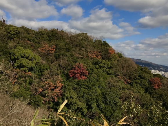 e0024081_21302520.jpg