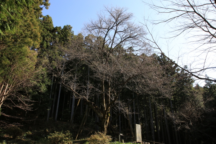 c0358784_23283743.jpg