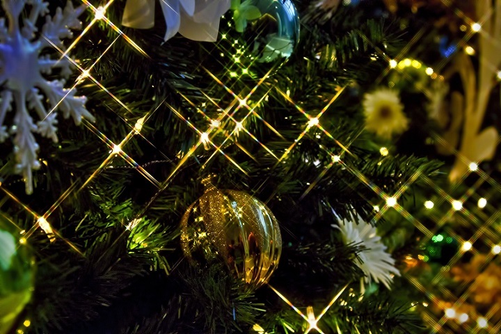 d0321384_11075542.jpg