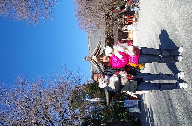 f0169884_20285099.jpg