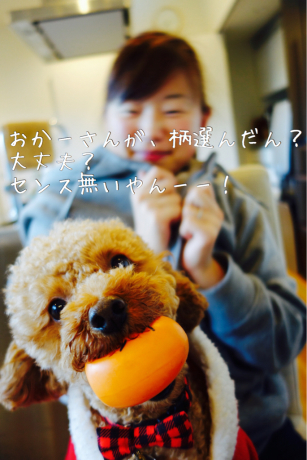 b0370192_10391029.jpg