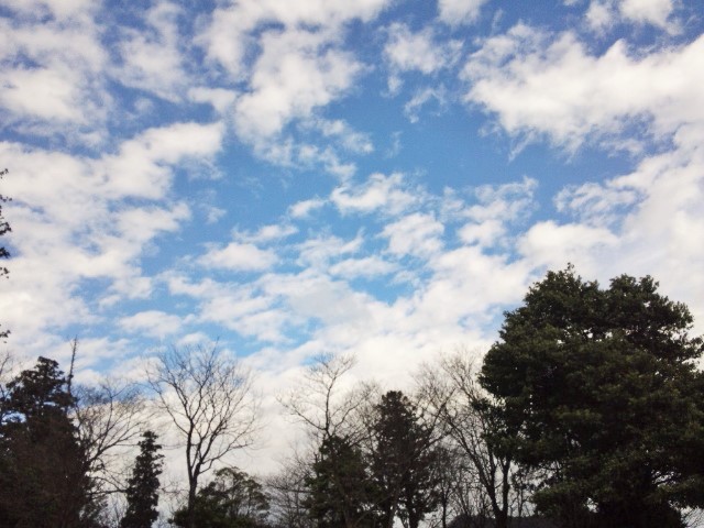 a0105396_02115210.jpg