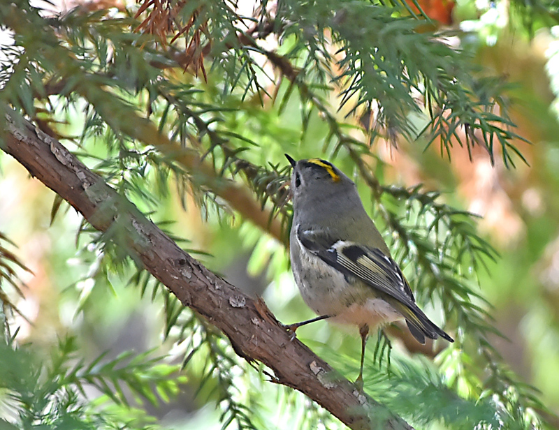 c0148401_9271575.jpg