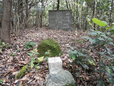 f0187402_20212040.jpg