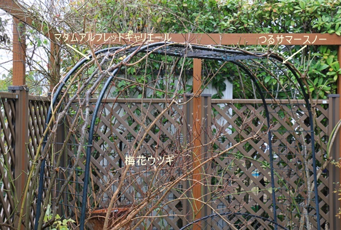 a0123003_15341300.jpg