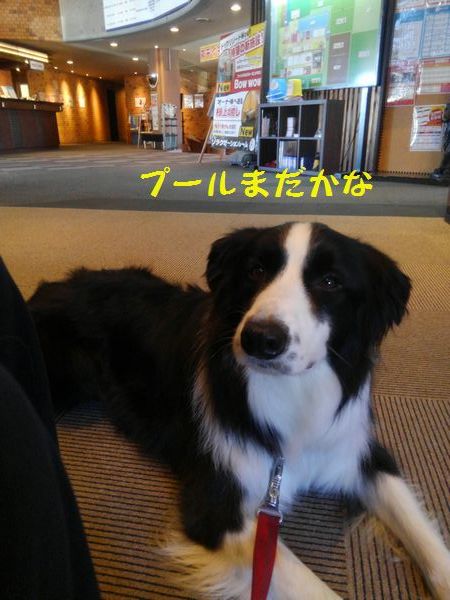 d0224111_10013005.jpg