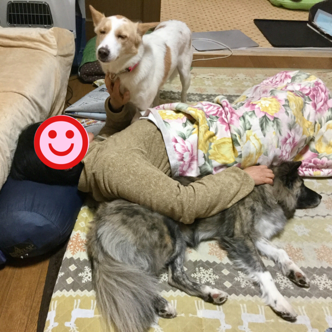 手抜き2コマ_f0329311_22540666.jpg