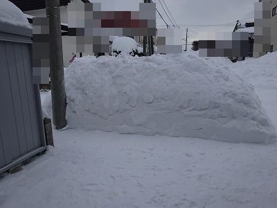 ５０年ぶりの雪と言うけれど。。。_f0328313_12355912.jpg