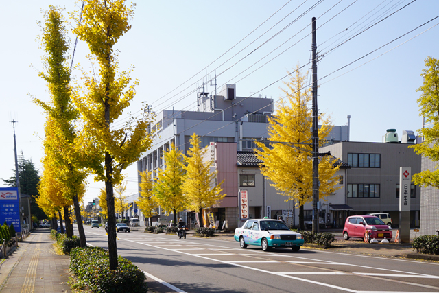 銀杏のある風景③_f0373317_13363.jpg