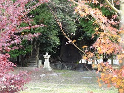 f0000521_8101550.jpg