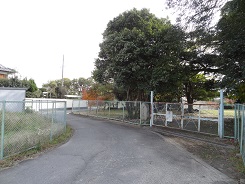 f0000521_8111490.jpg