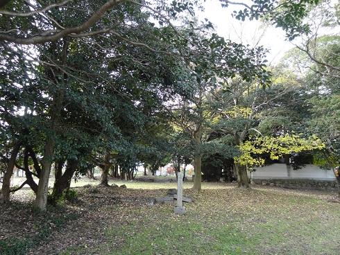 f0000521_873469.jpg