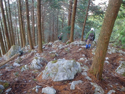 仰烏帽子山（元井谷橋～仰烏帽子山～仏石～明神岩）_f0193521_2052247.jpg