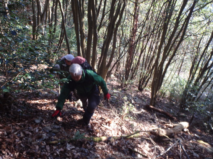 仰烏帽子山（元井谷橋～仰烏帽子山～仏石～明神岩）_f0193521_4414972.jpg