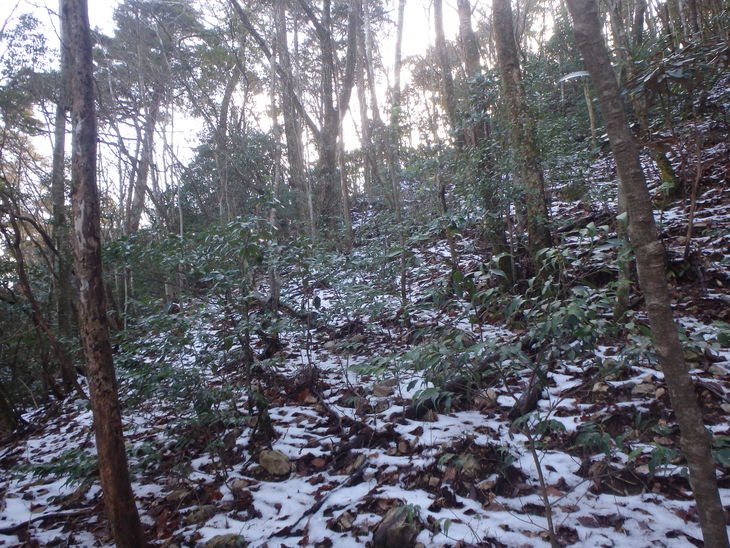 仰烏帽子山（元井谷橋～仰烏帽子山～仏石～明神岩）_f0193521_845311.jpg