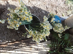 c0147935_21241286.jpg