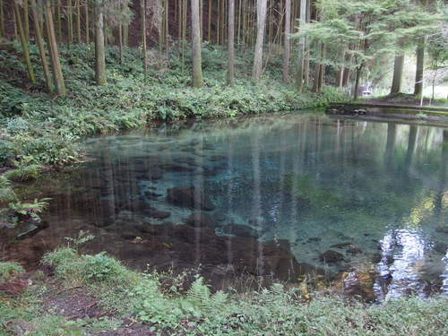 陣の池_b0199742_5435790.jpg