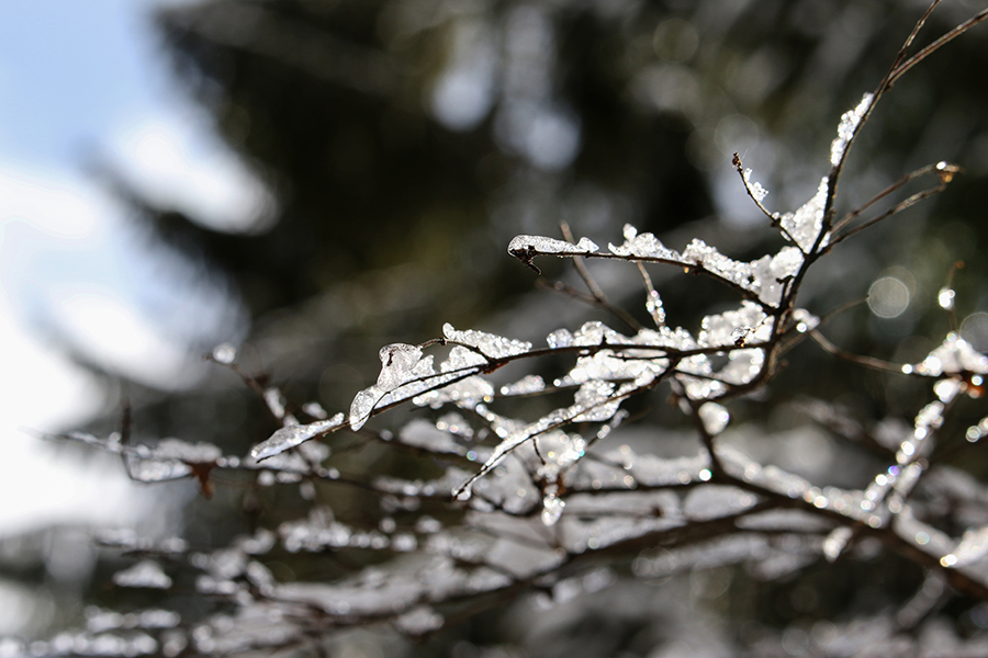 c0035245_14473440.jpg