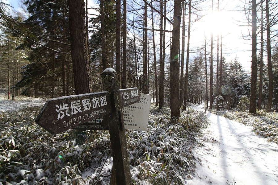 八ヶ岳山麓・八方台（2016年12月6日）_c0035245_23520003.jpg