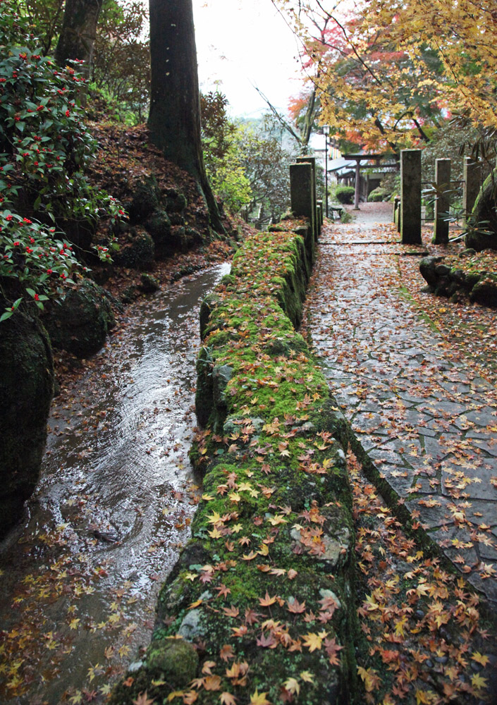 明日香　岡寺　紅葉_c0108146_23211510.jpg