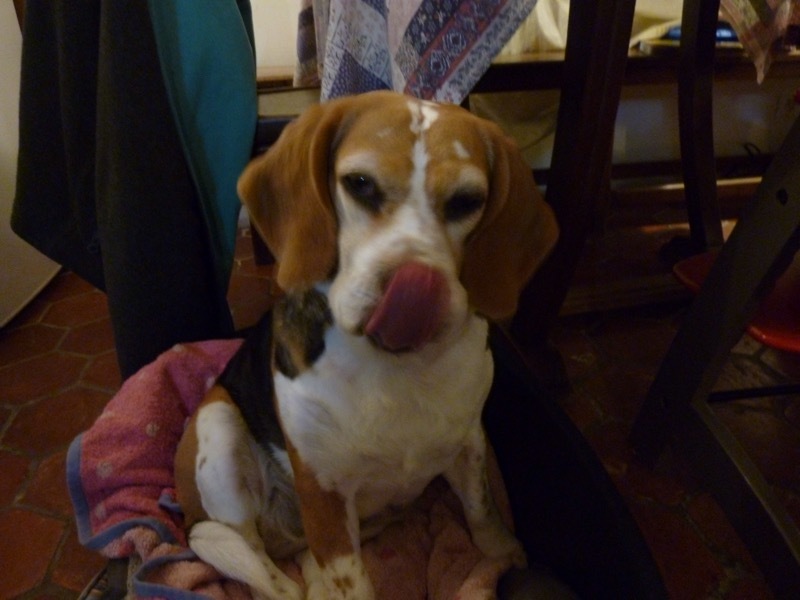 b0069848_00230296.jpeg