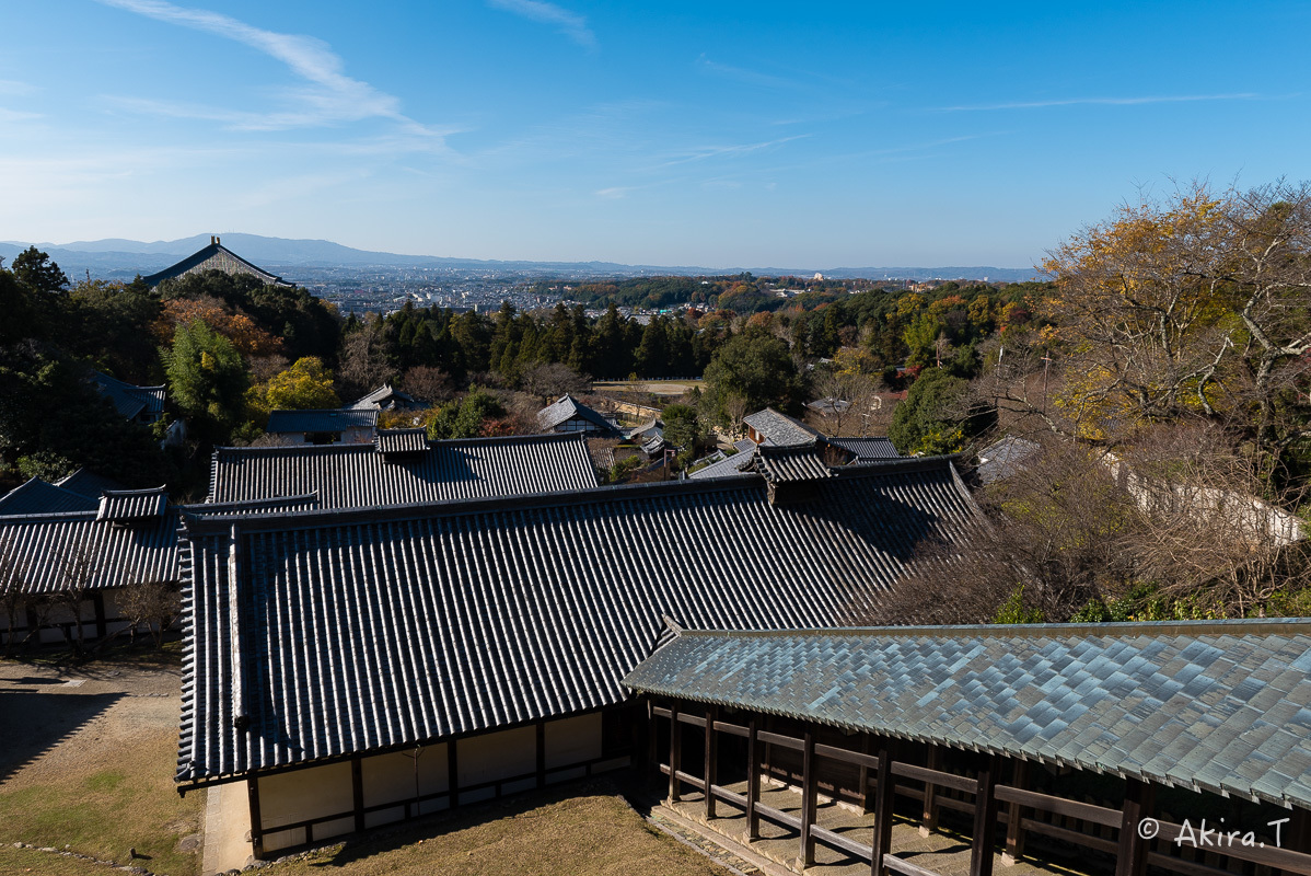 f0152550_21541131.jpg