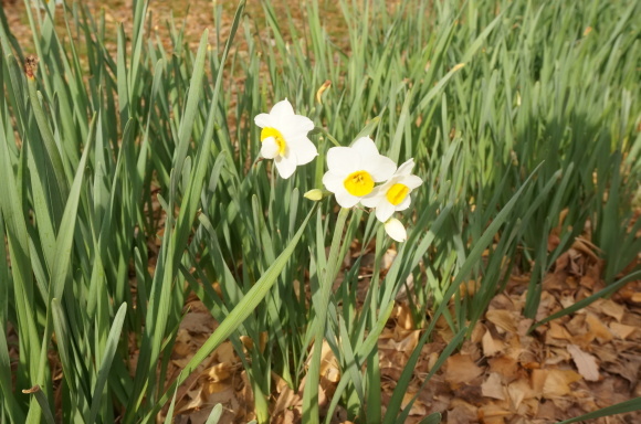 f0257756_00225651.jpg
