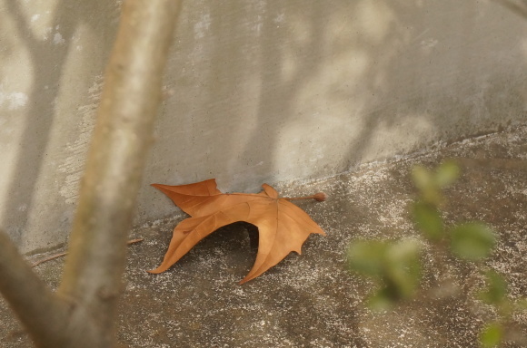 f0257756_00281011.jpg