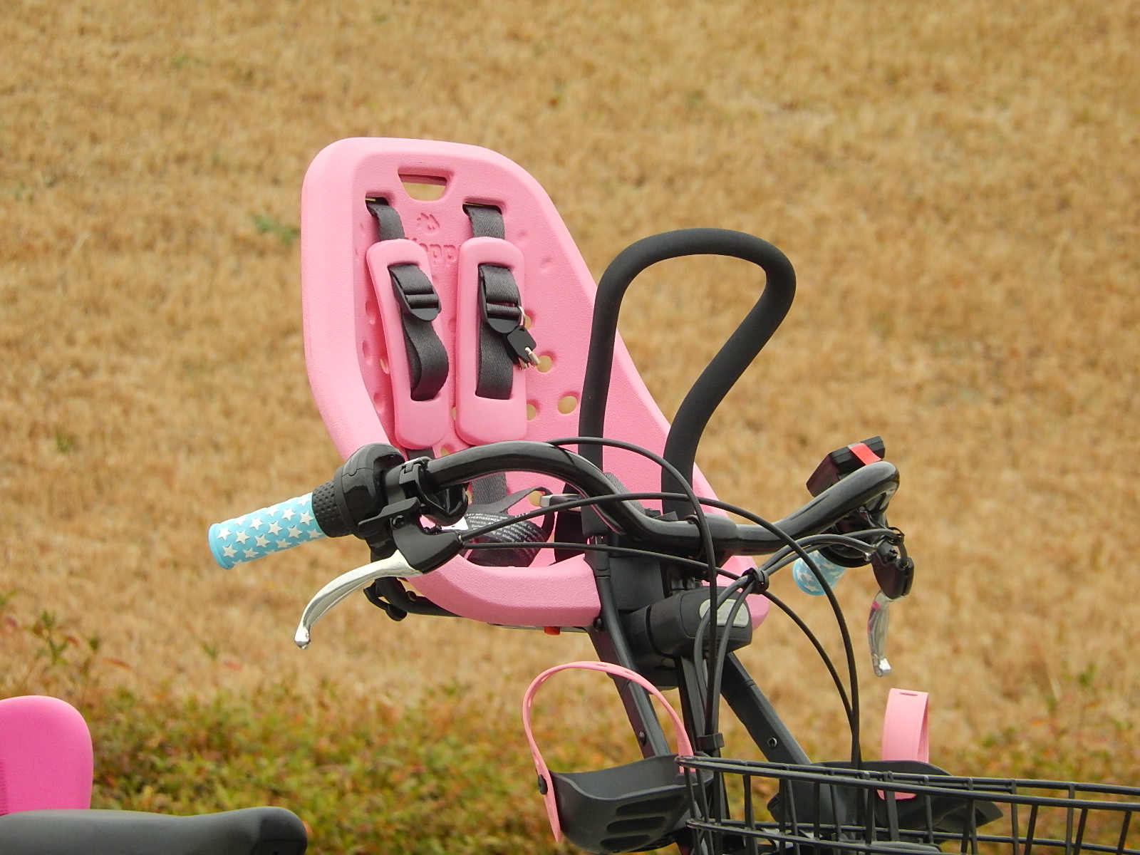 YAMAHA PAS BabbyXL_e0188759_1531264.jpg