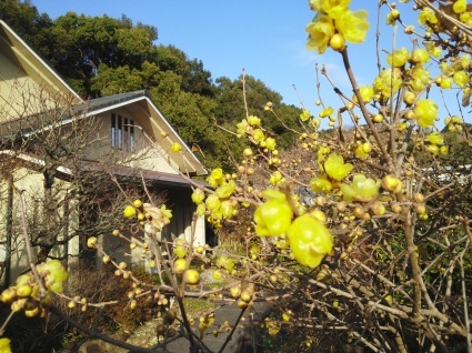 b0368362_01042734.jpg