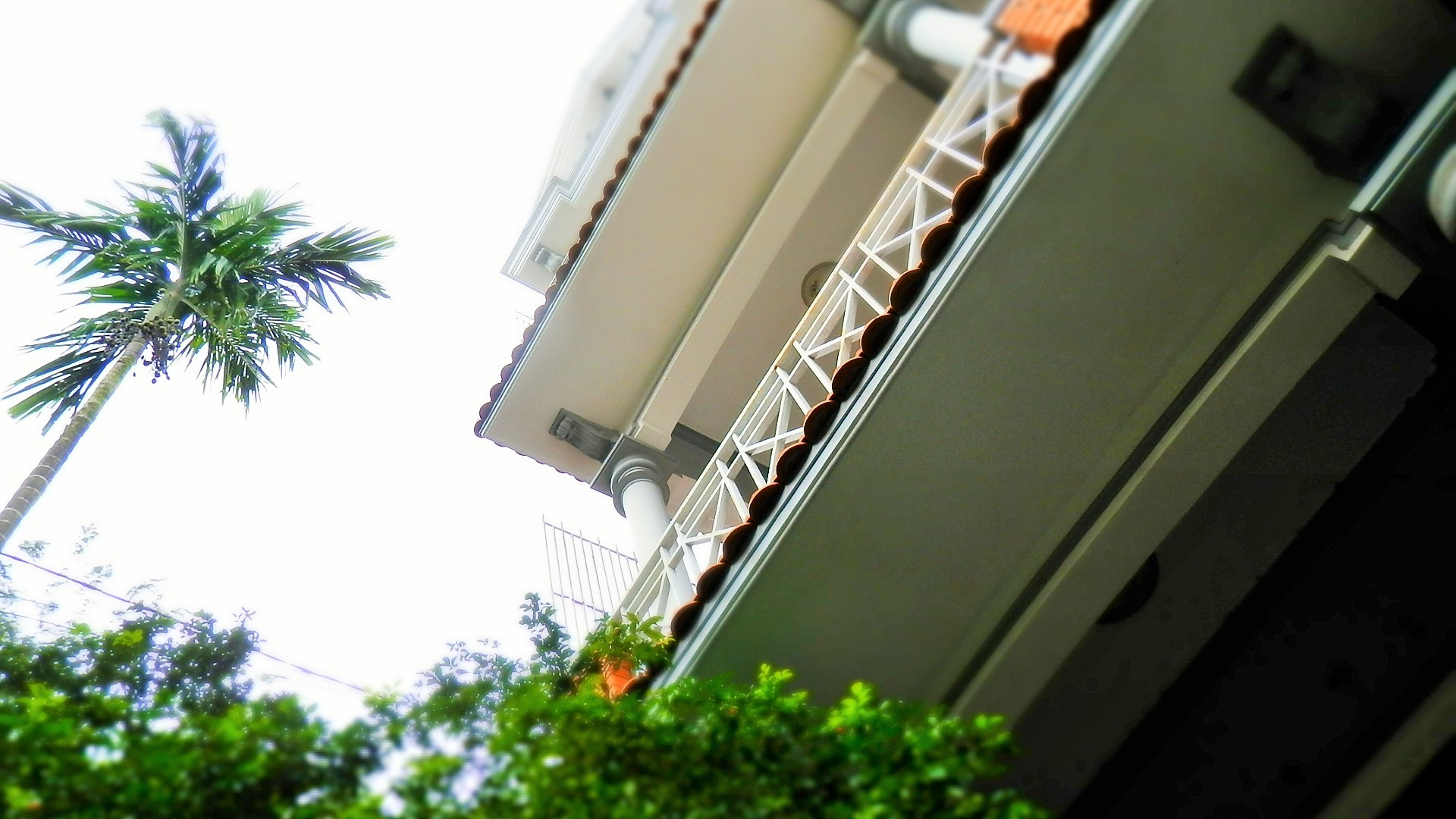 b0362866_22171282.jpg