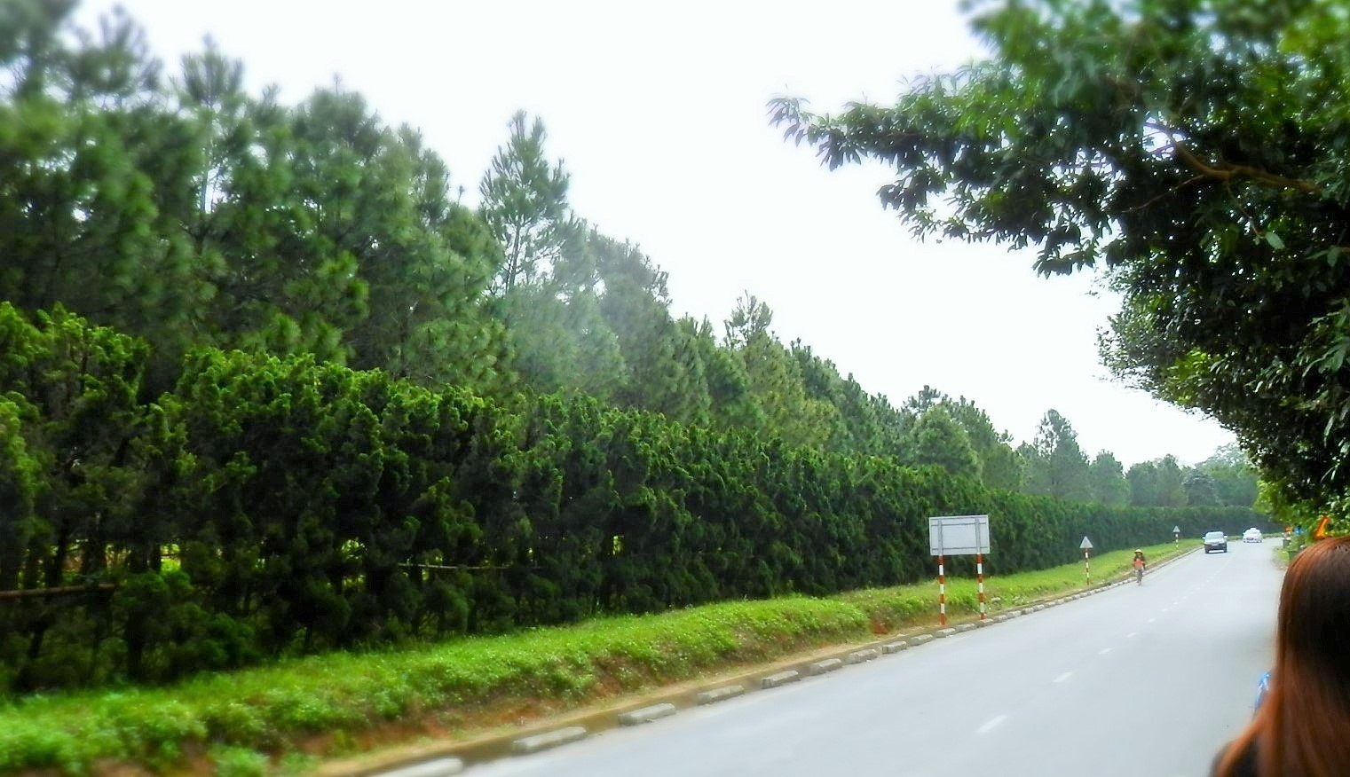 b0362866_22203238.jpg