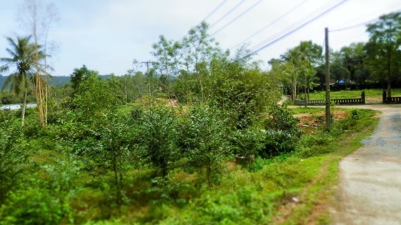 b0362866_22250840.jpg