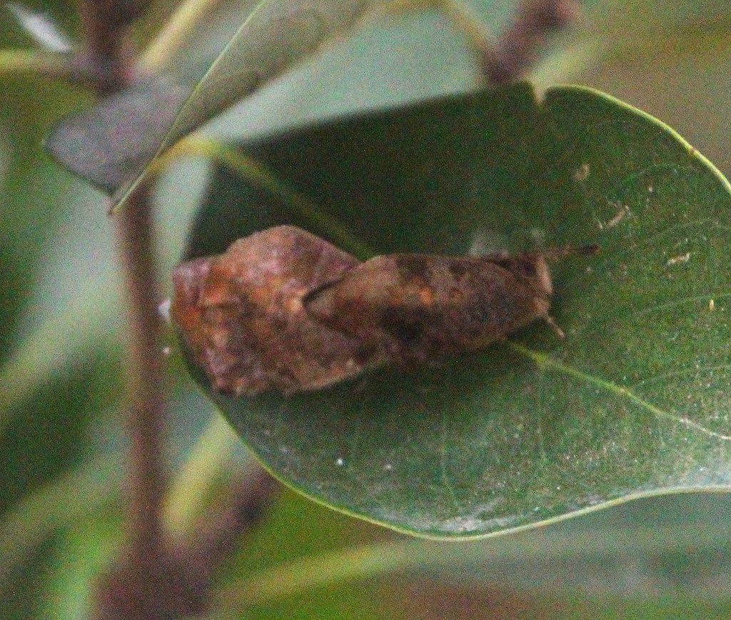 b0320769_15410024.jpg